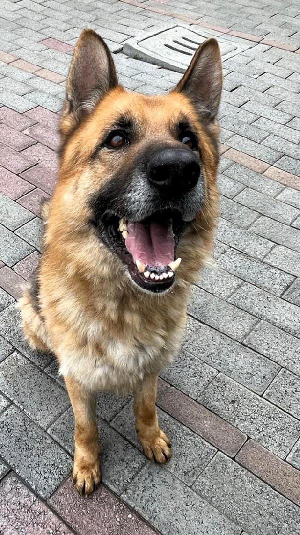 RAMOS PASTORE TEDESCO Foto 2